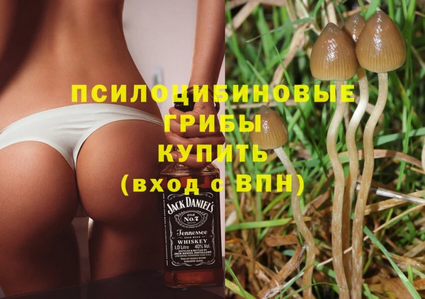 spice Гусиноозёрск